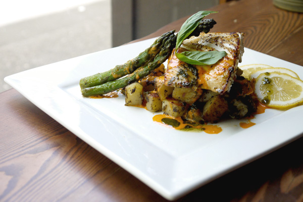 Halibut
